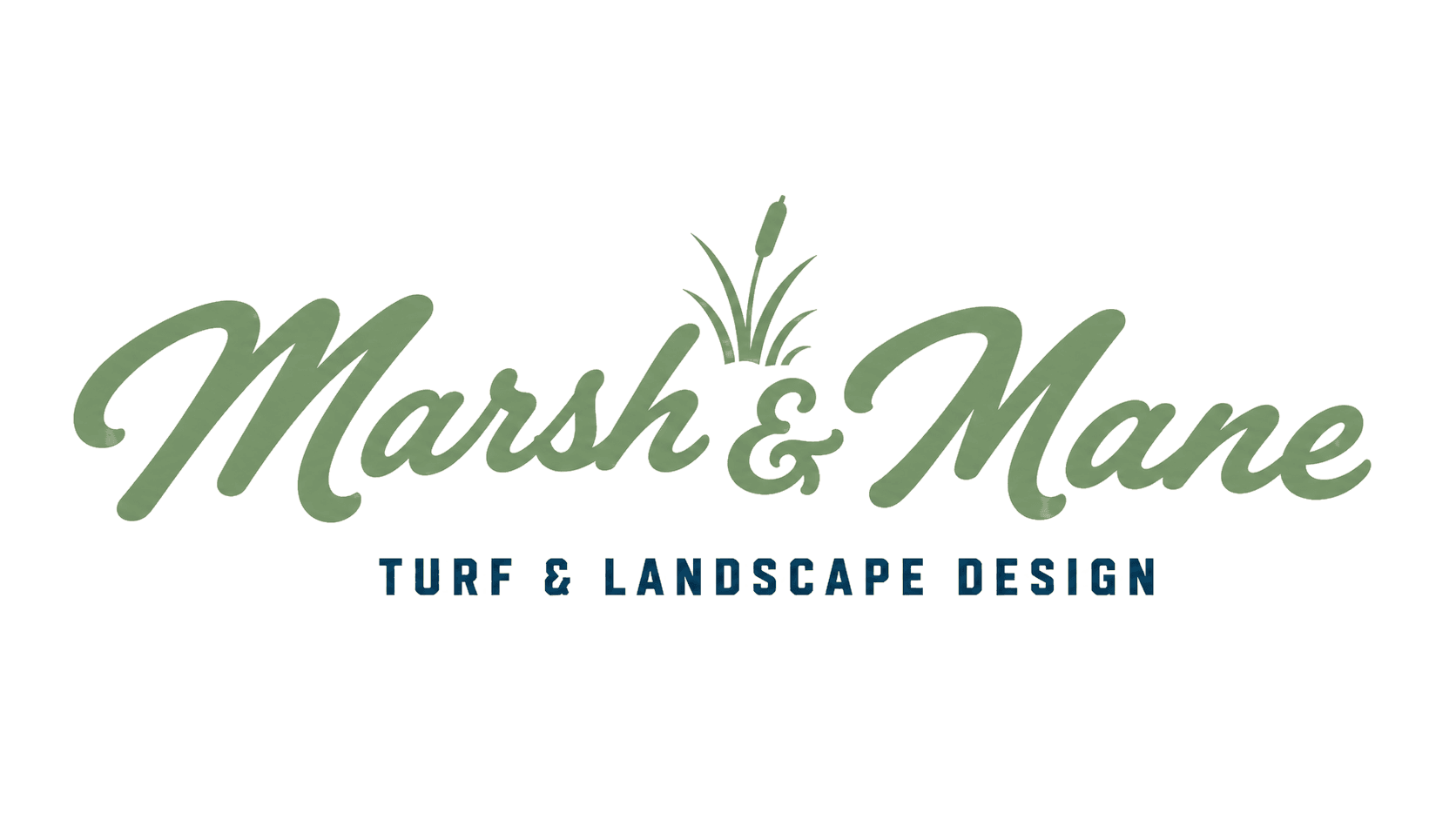 Marsh & Mane